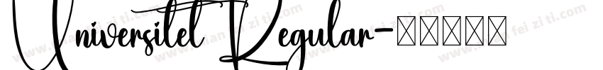 Universitet Regular字体转换